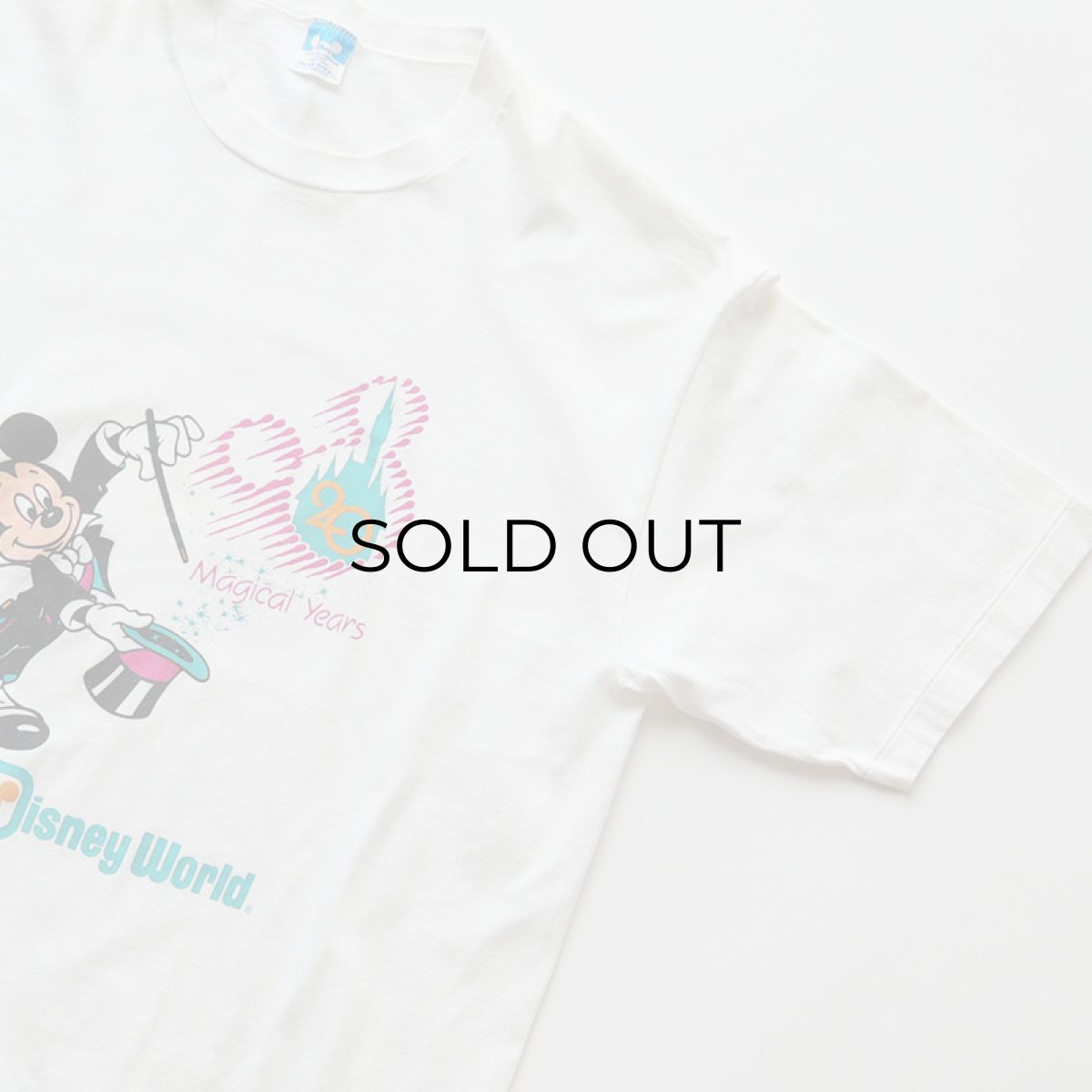 画像3: 〜90's Disney COTTON PRINT S/S TEE "Walt Disney World" (3)