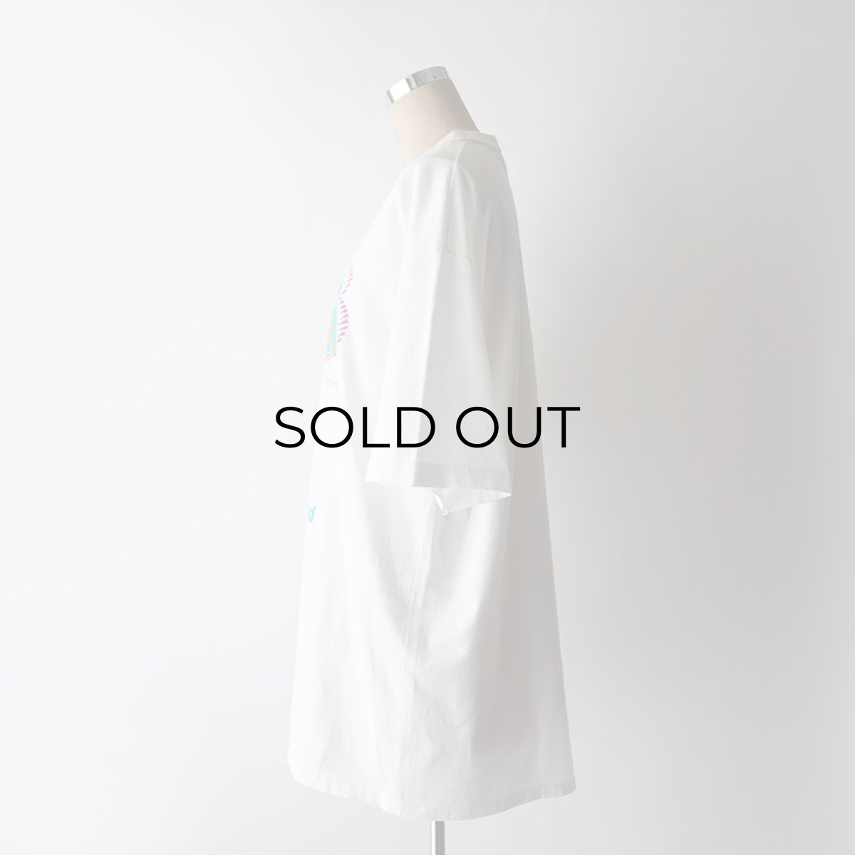 画像11: 〜90's Disney COTTON PRINT S/S TEE "Walt Disney World" (11)