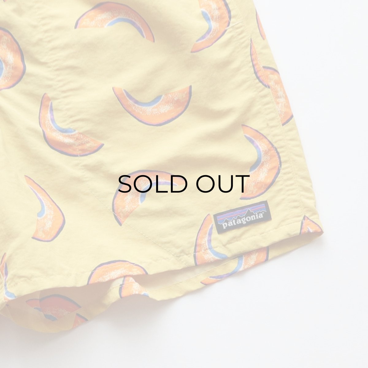 画像5: 20's Patagonia NYLON ALL OVER PATTERN BAGGIES SHORTS (5)