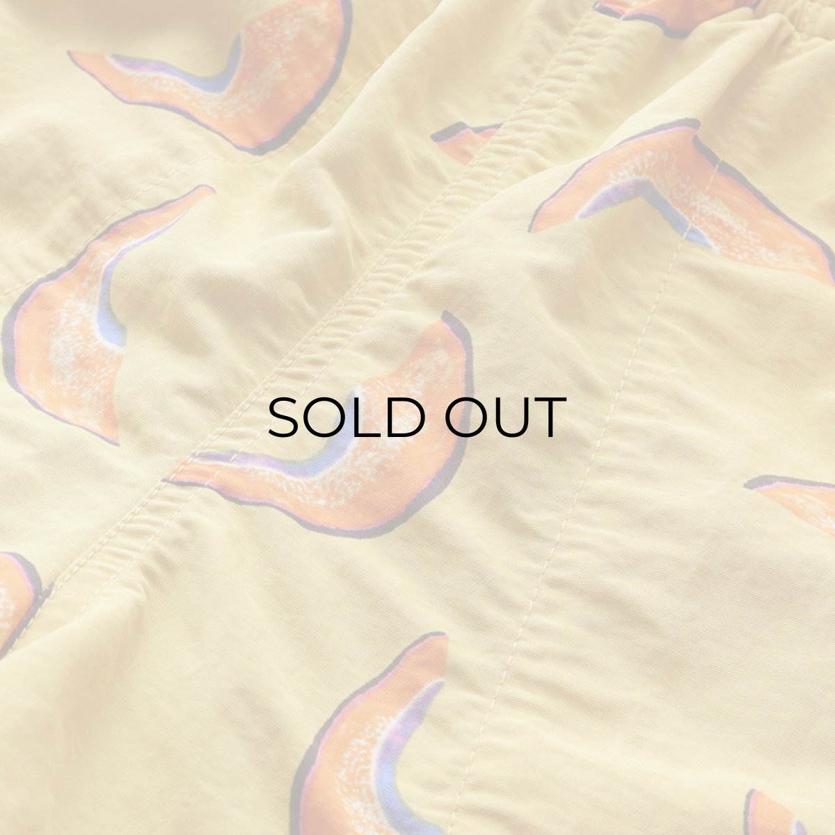 画像7: 20's Patagonia NYLON ALL OVER PATTERN BAGGIES SHORTS (7)