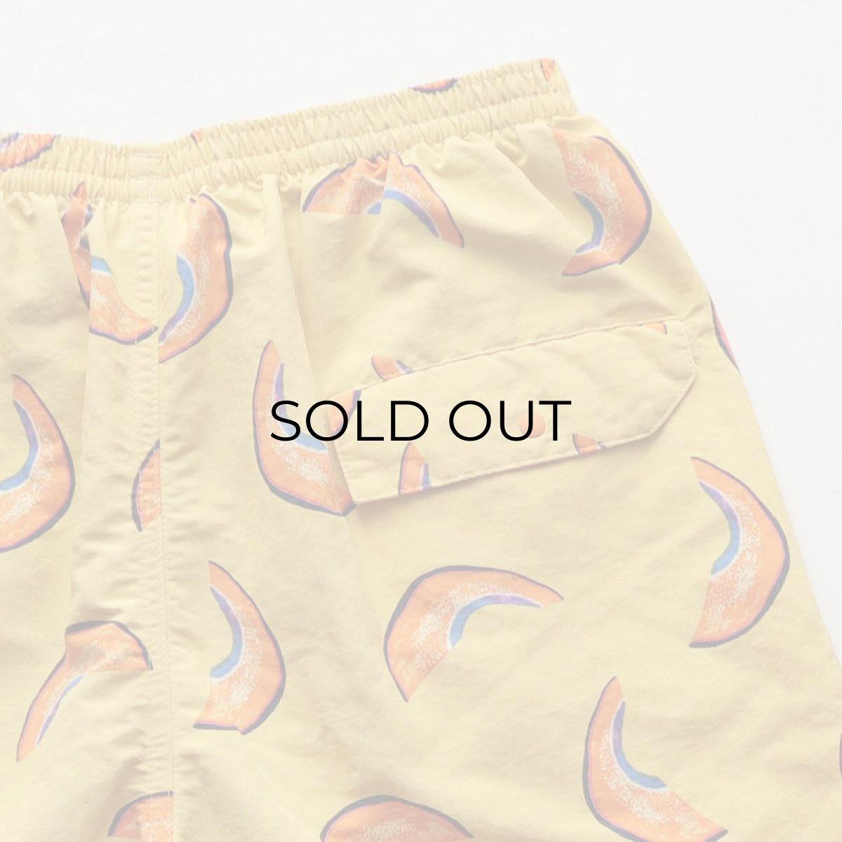 画像6: 20's Patagonia NYLON ALL OVER PATTERN BAGGIES SHORTS (6)