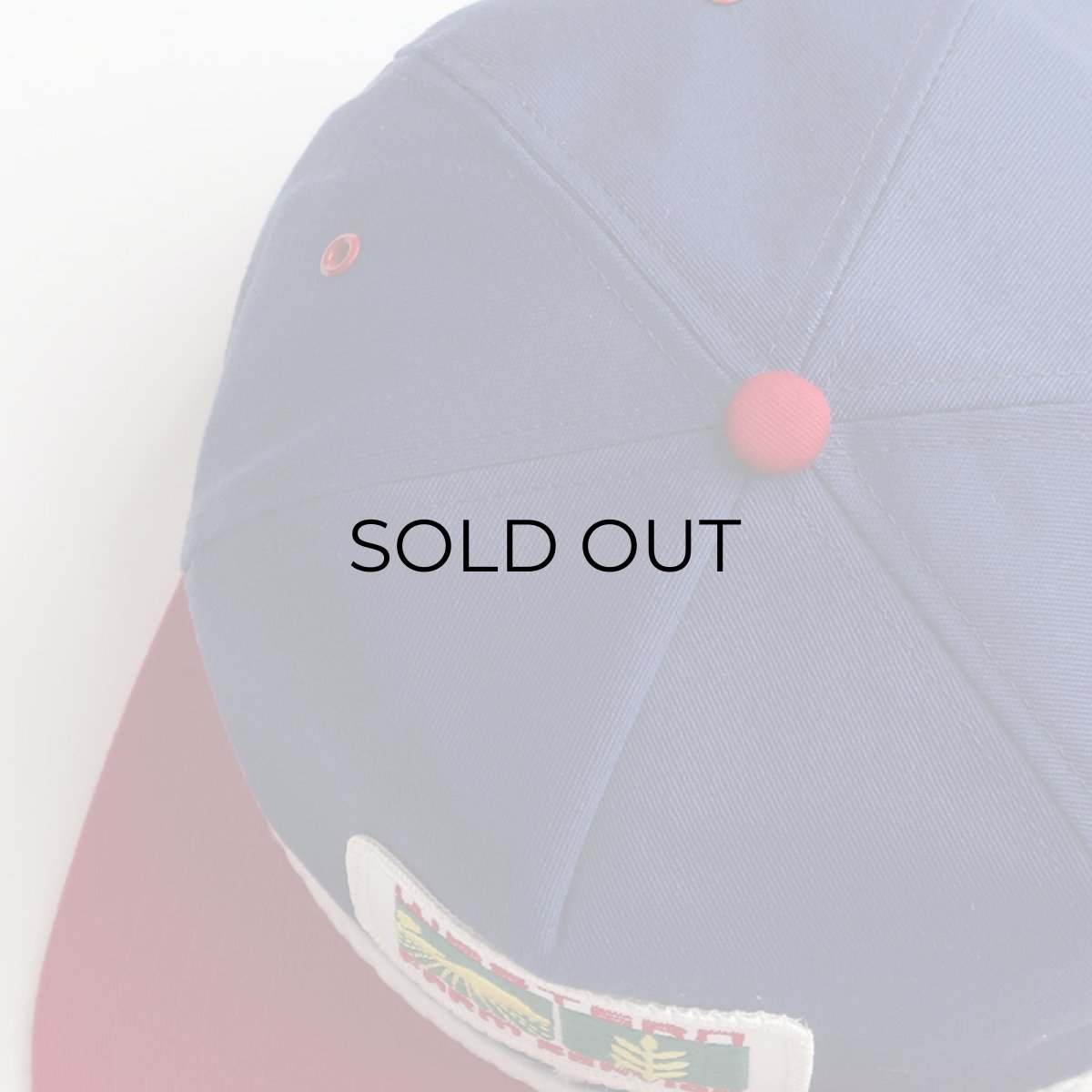 画像6: 80's UNKNOWN BRAND 2-TONE TRUCKER CAP with WAPPEN "WESTERN FARM SERVICE" "MADE IN USA" (6)