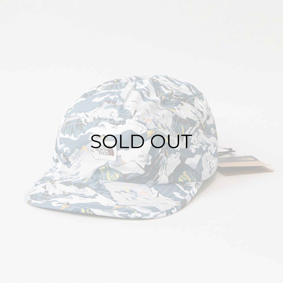 画像1: 【NEW】 THE NORTH FACE "LIBERTY FABRIC" 5-PANEL CAMP CAP (1)