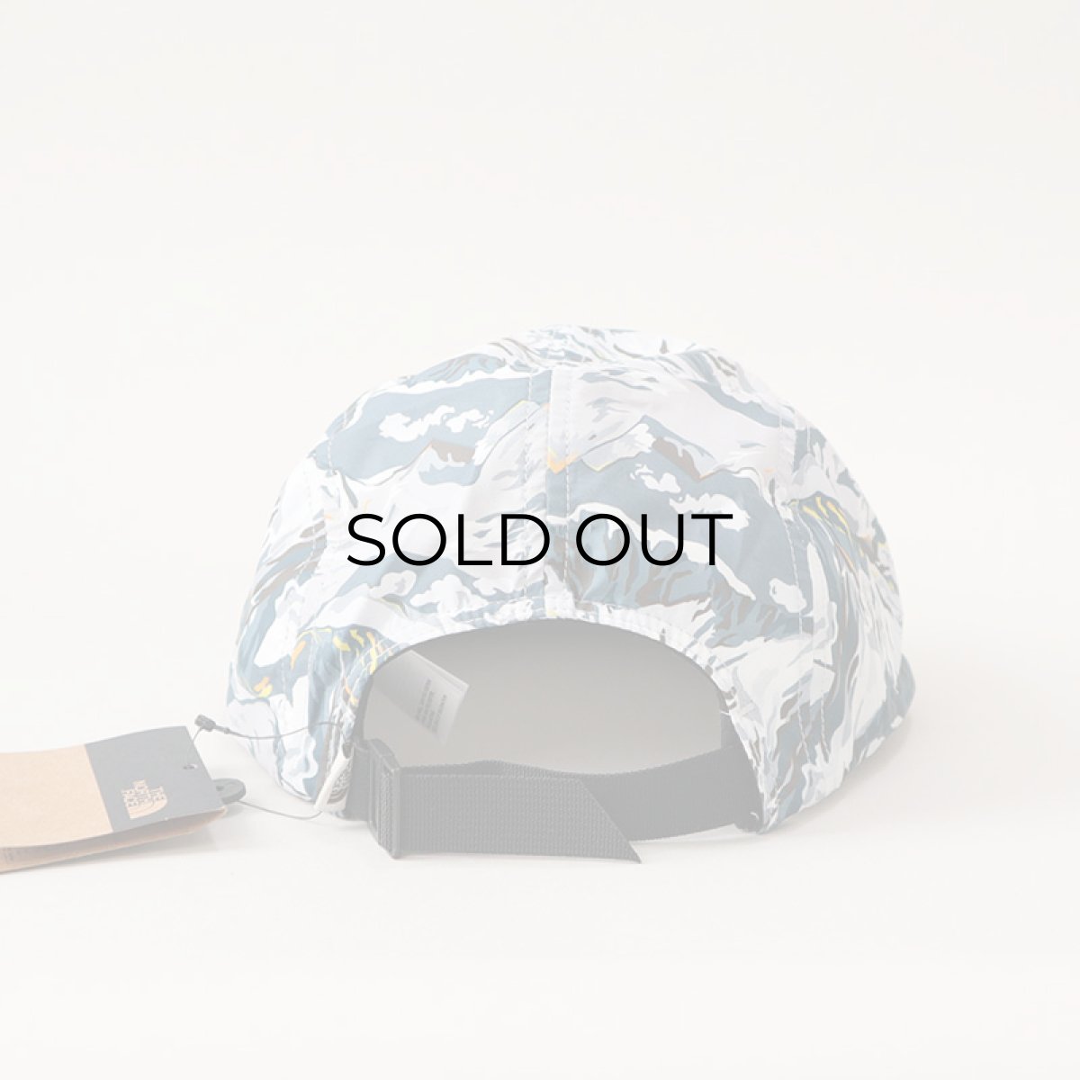 画像4: 【NEW】 THE NORTH FACE "LIBERTY FABRIC" 5-PANEL CAMP CAP (4)