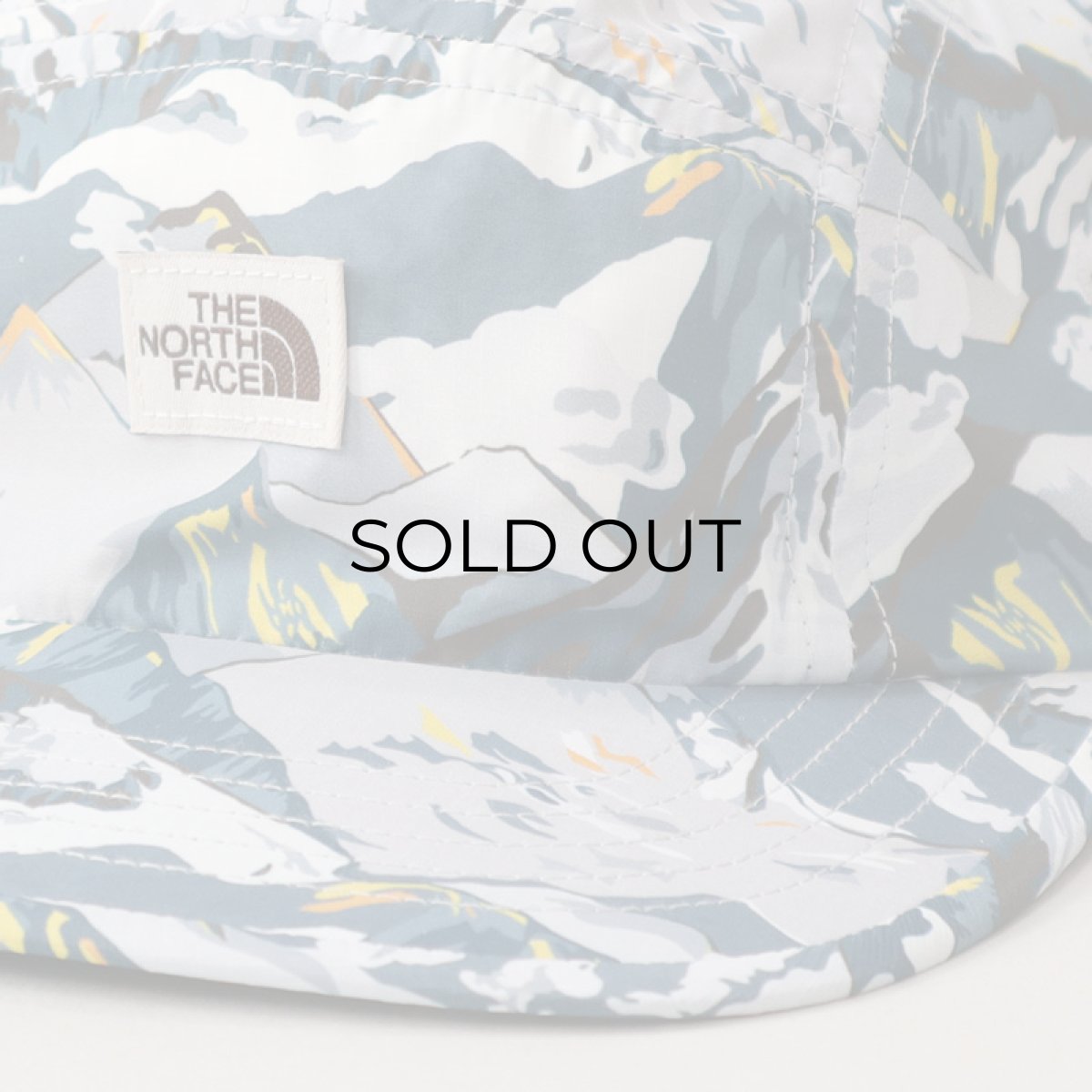 画像6: 【NEW】 THE NORTH FACE "LIBERTY FABRIC" 5-PANEL CAMP CAP (6)