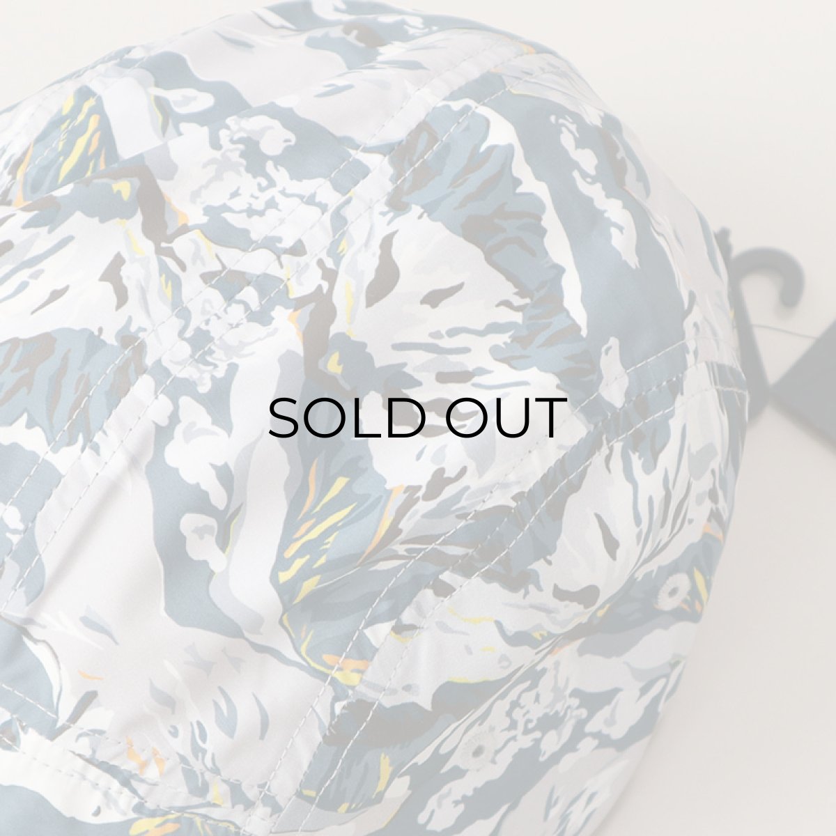 画像7: 【NEW】 THE NORTH FACE "LIBERTY FABRIC" 5-PANEL CAMP CAP (7)