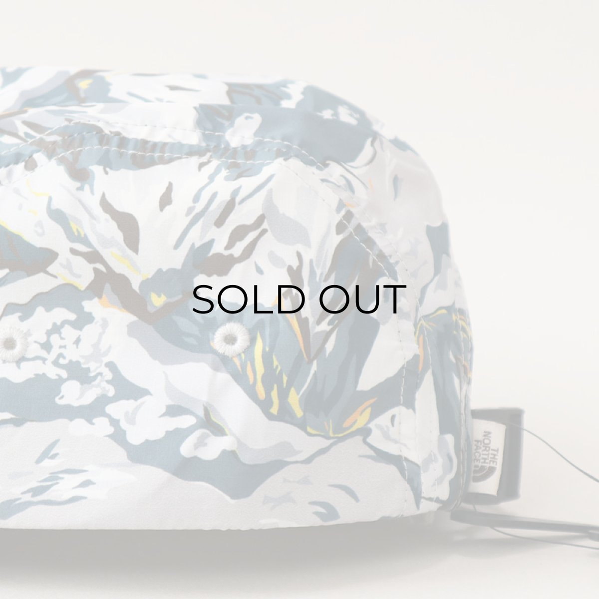 画像8: 【NEW】 THE NORTH FACE "LIBERTY FABRIC" 5-PANEL CAMP CAP (8)