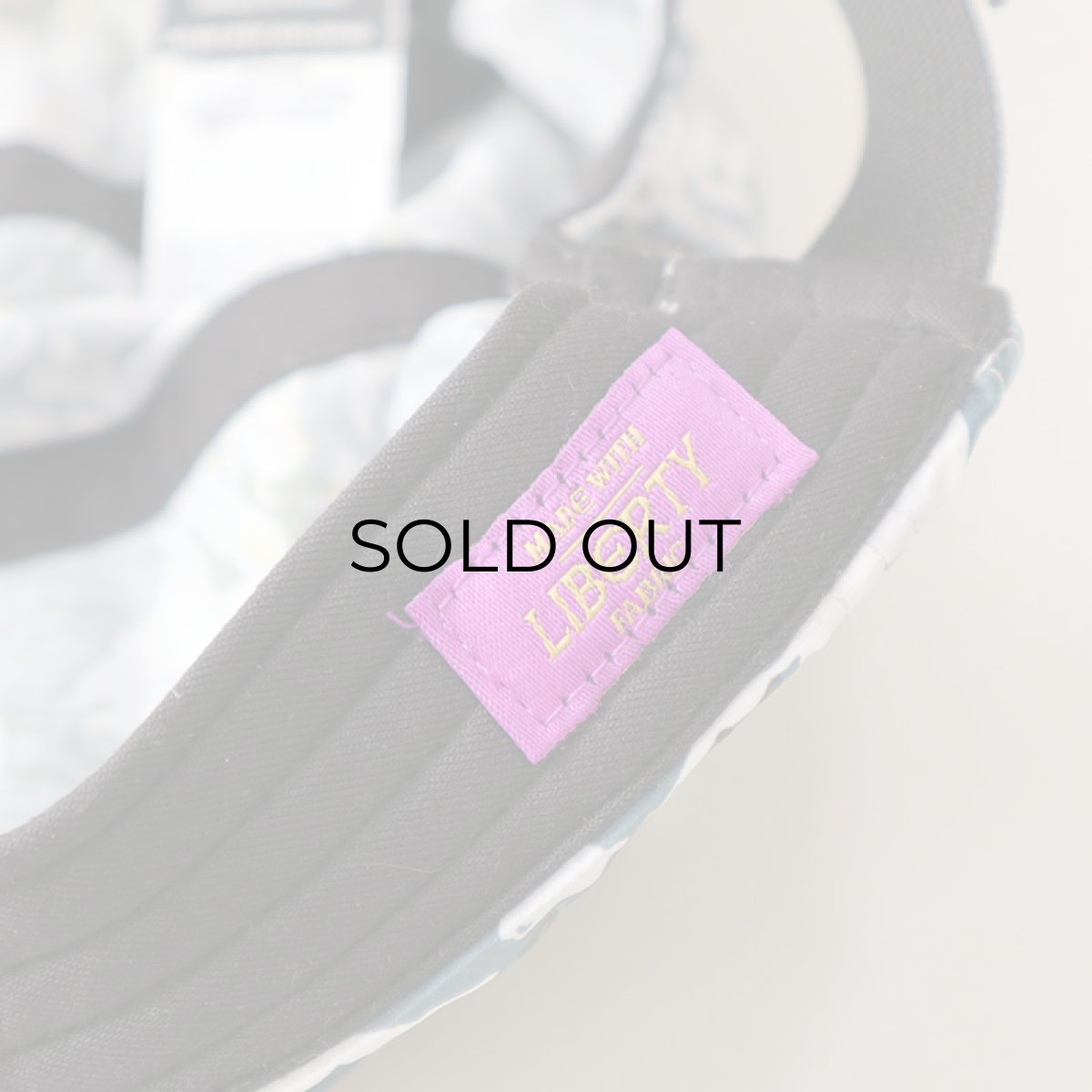 画像10: 【NEW】 THE NORTH FACE "LIBERTY FABRIC" 5-PANEL CAMP CAP (10)