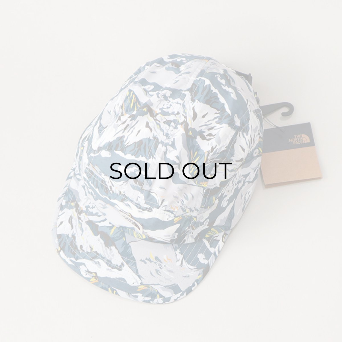 画像3: 【NEW】 THE NORTH FACE "LIBERTY FABRIC" 5-PANEL CAMP CAP (3)