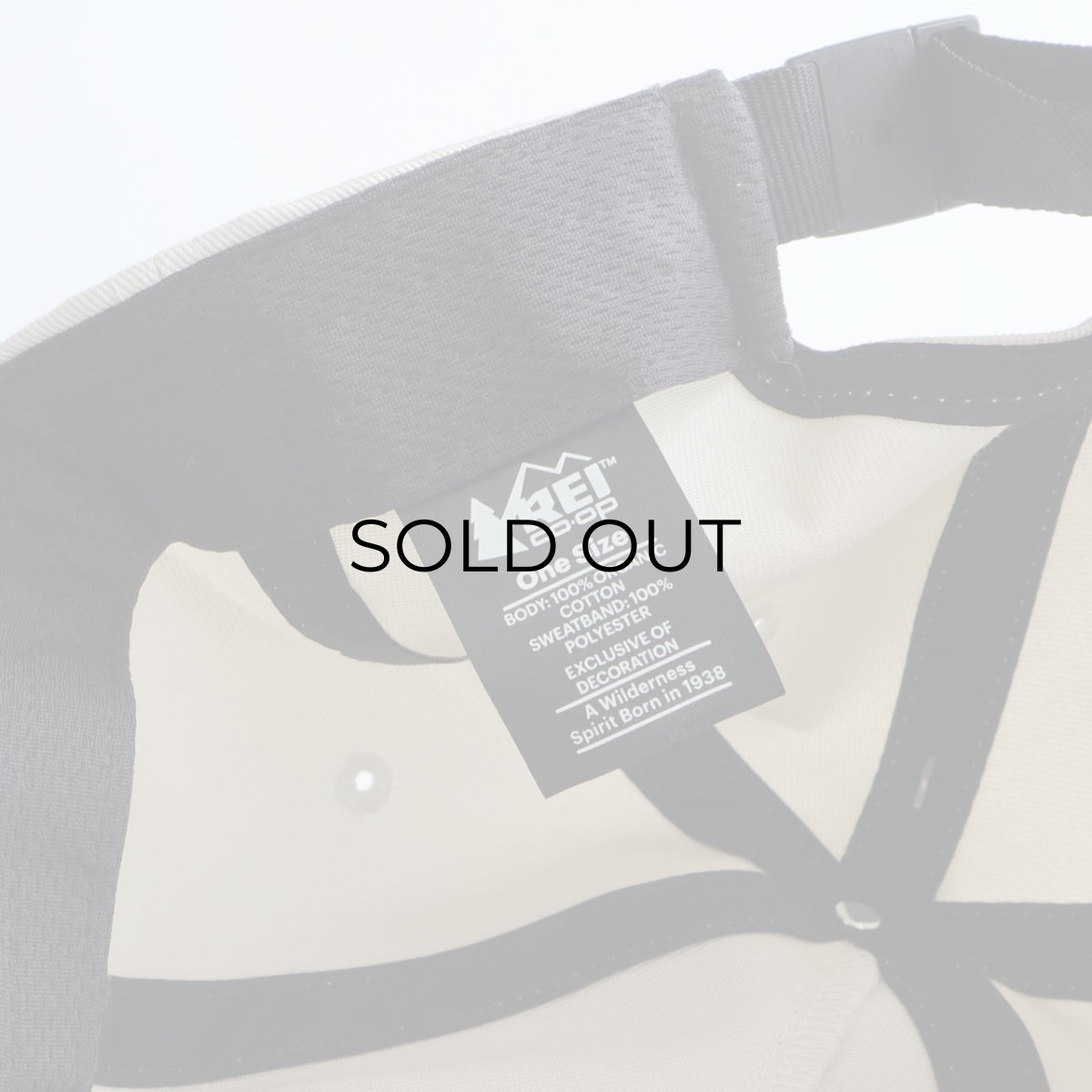 画像7: 【NEW】 REI COTTON TWILL "1975 LOGO" BALL CAP (7)