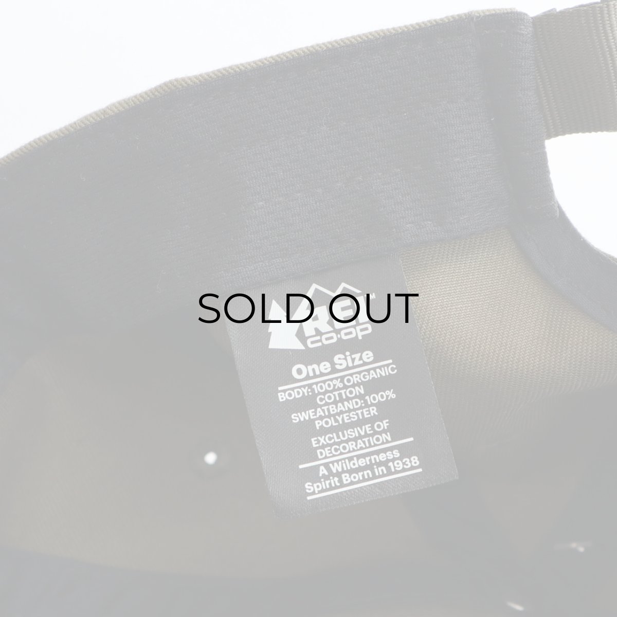 画像7: 【NEW】 REI COTTON TWILL "FOR LIFE OUTSIDE" BALL CAP (7)