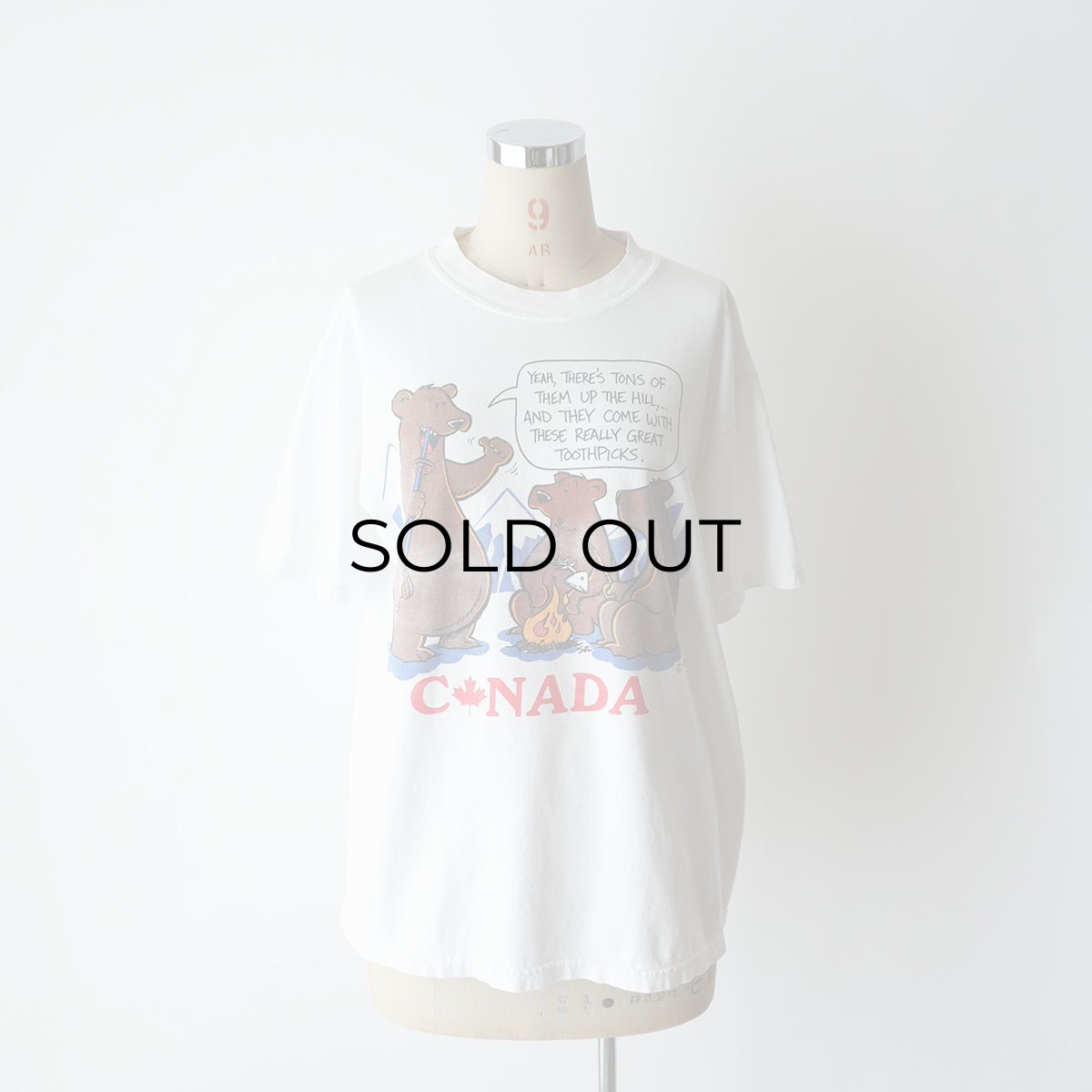 画像10: 90's GILDAN "ULTRA COTTON" PRINT S/S TEE "CANADA" (10)