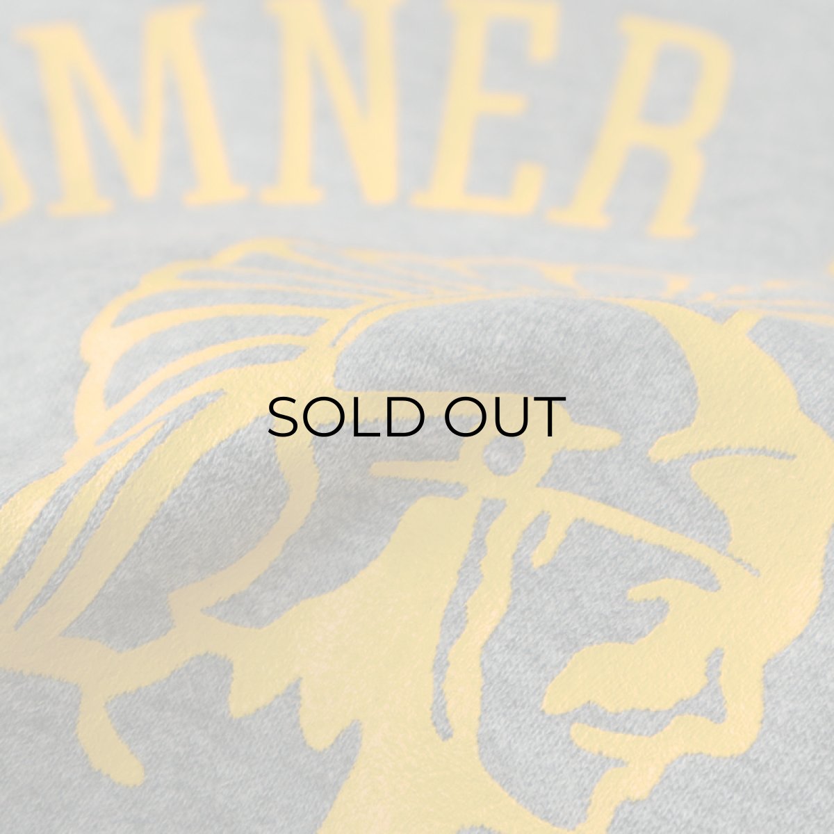 画像10: 〜80's RUSSELL PRINT SWEAT PULLOVER PARKA "SUMNER SPARTANS" (10)