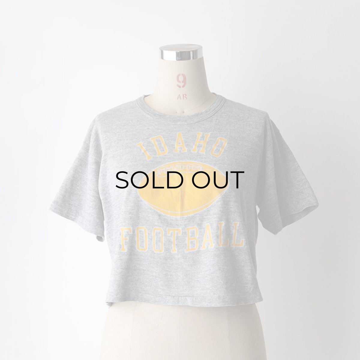 画像7: 70's RUSSELL  PRINT S/S CROPPED TEE "IDAHO FOOTBALL" (7)