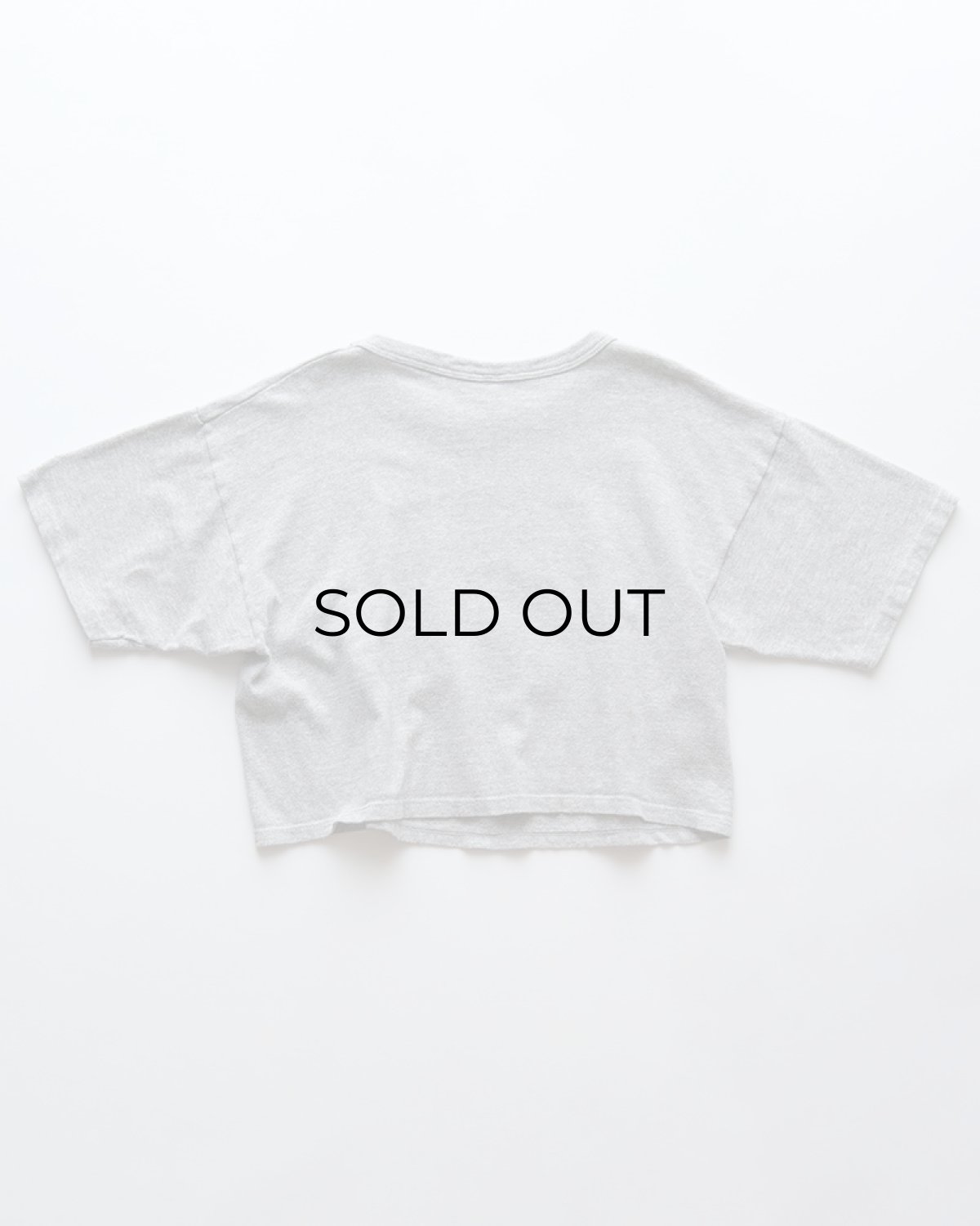 画像2: 80's Champion COTTON RAYON PRINT S/S CROPPED TEE "MARK MORRIS MONARCHS" (2)