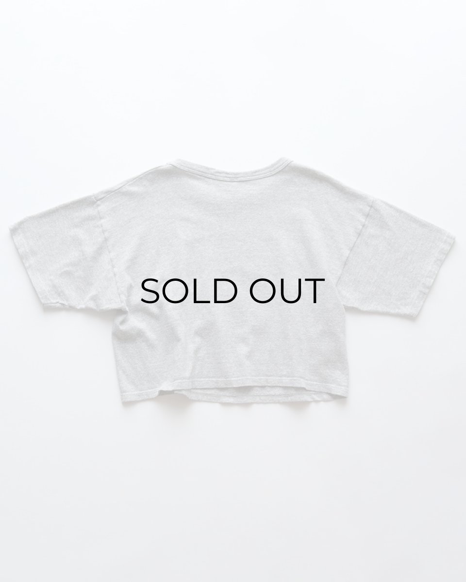 画像2: 80's Champion COTTON RAYON PRINT S/S CROPPED TEE "MARK MORRIS MONARCHS" (2)