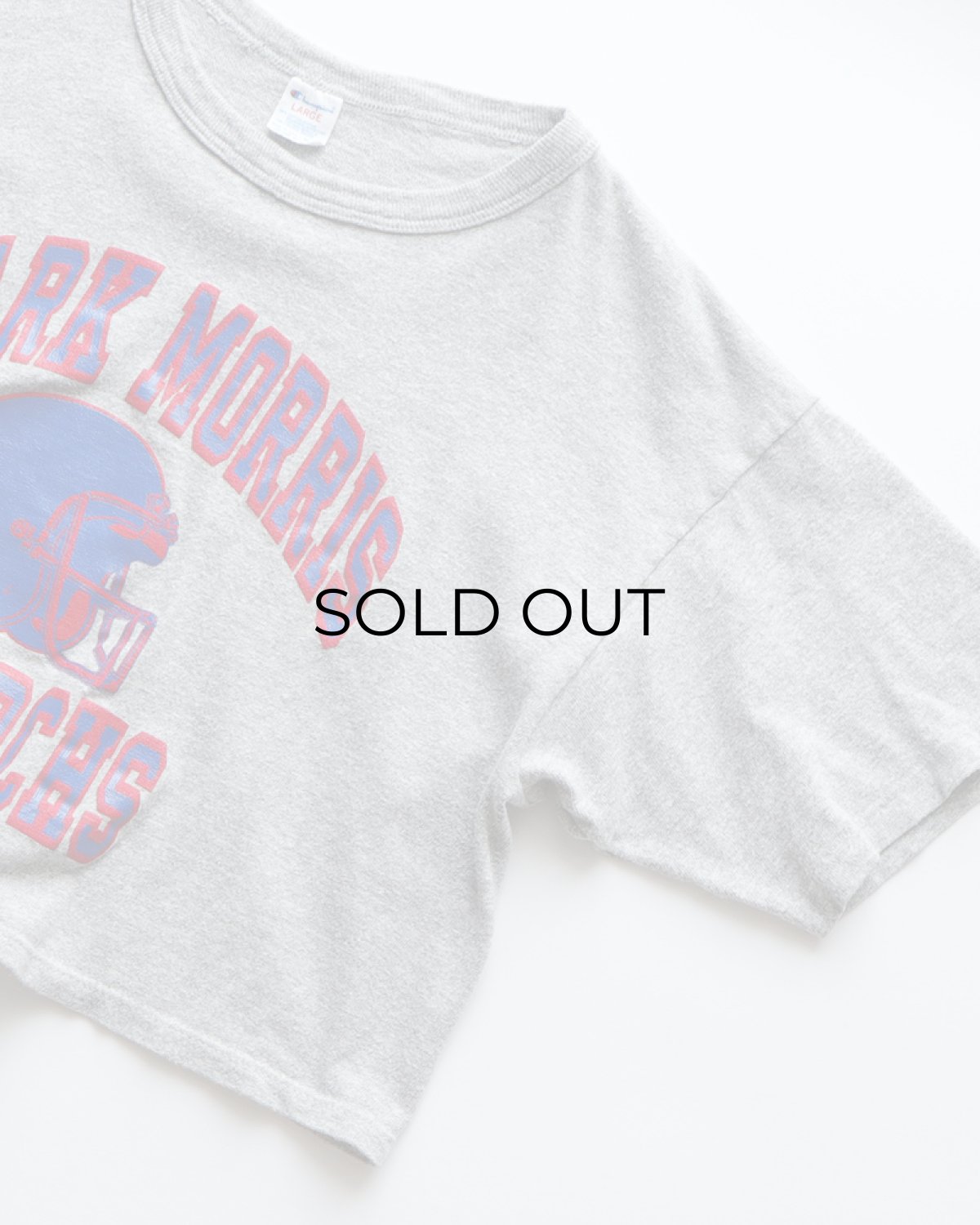 画像3: 80's Champion COTTON RAYON PRINT S/S CROPPED TEE "MARK MORRIS MONARCHS" (3)