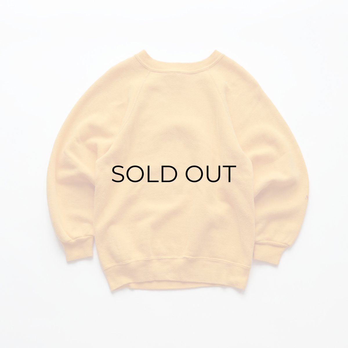 画像2: 70's Disneyland FLOCK PRINT CREW NECK SWEAT "Disneyland" "MADE IN USA" (2)