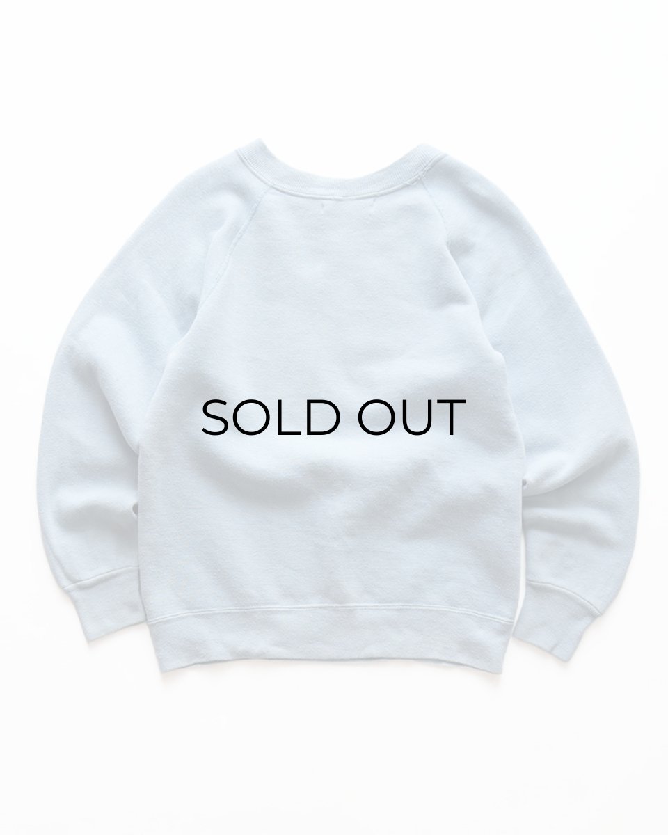 画像2: 70's Walt Disney World FLOCK PRINT CREW NECK SWEAT (2)