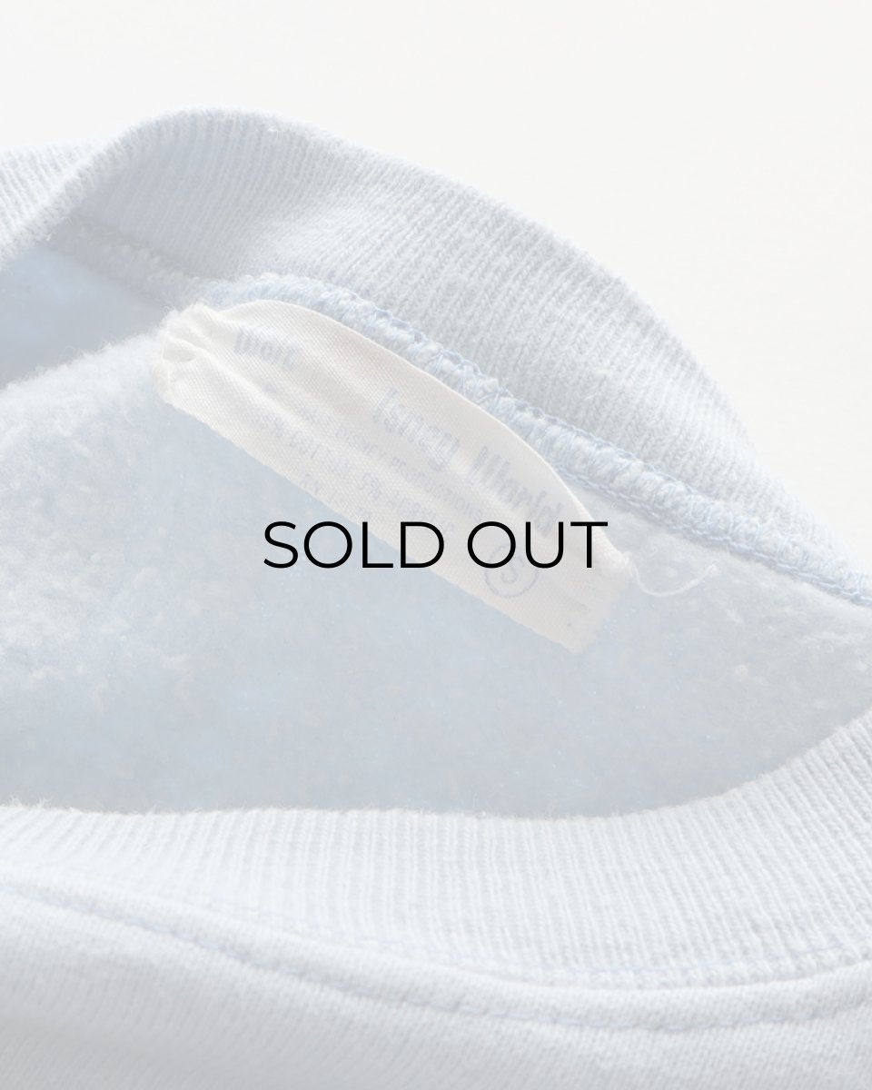 画像9: 70's Walt Disney World FLOCK PRINT CREW NECK SWEAT (9)