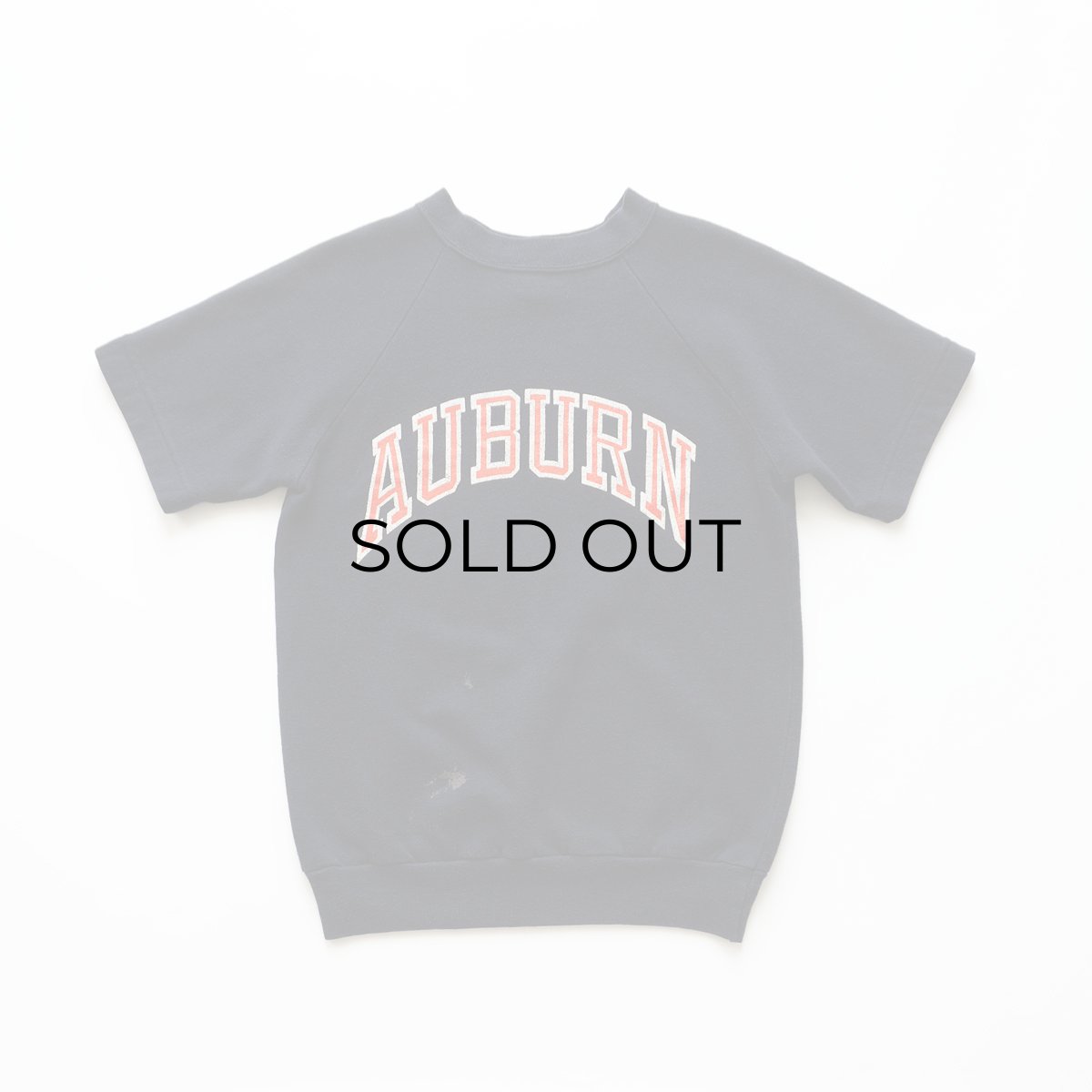 画像1: 〜80's ARTEX PRINT CREW NECK S/S SWEAT "AUBURN" "MADE IN USA" (1)