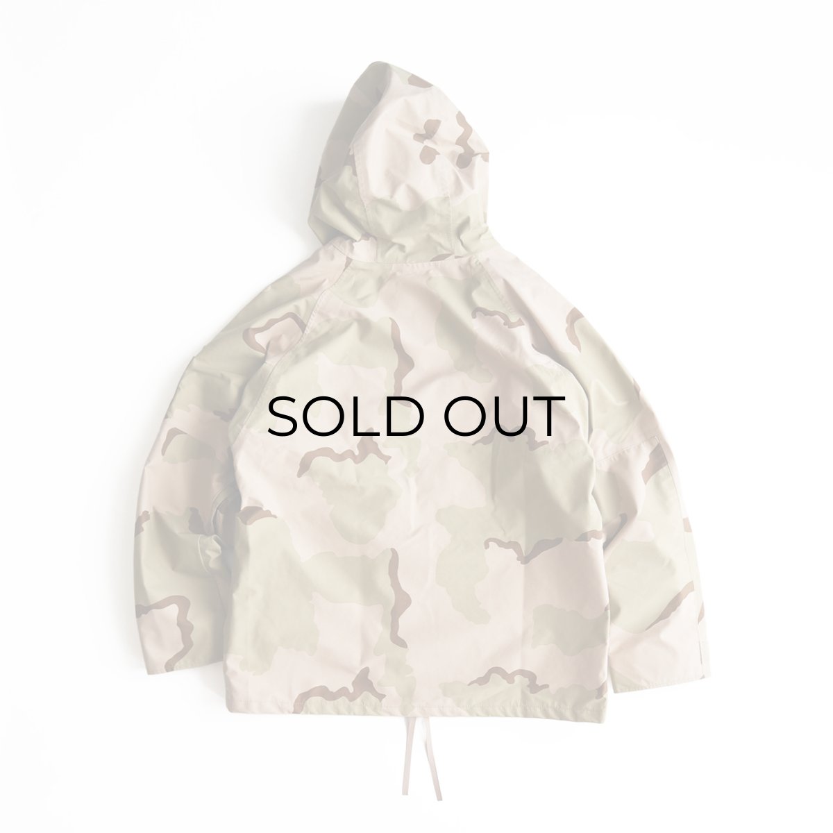 画像3: 00's US ARMY GORE-TEX DESERT CAMOUFLAGE COLD WEATHER PARKA 【SIZE : LARGE-REGULAR】 (3)