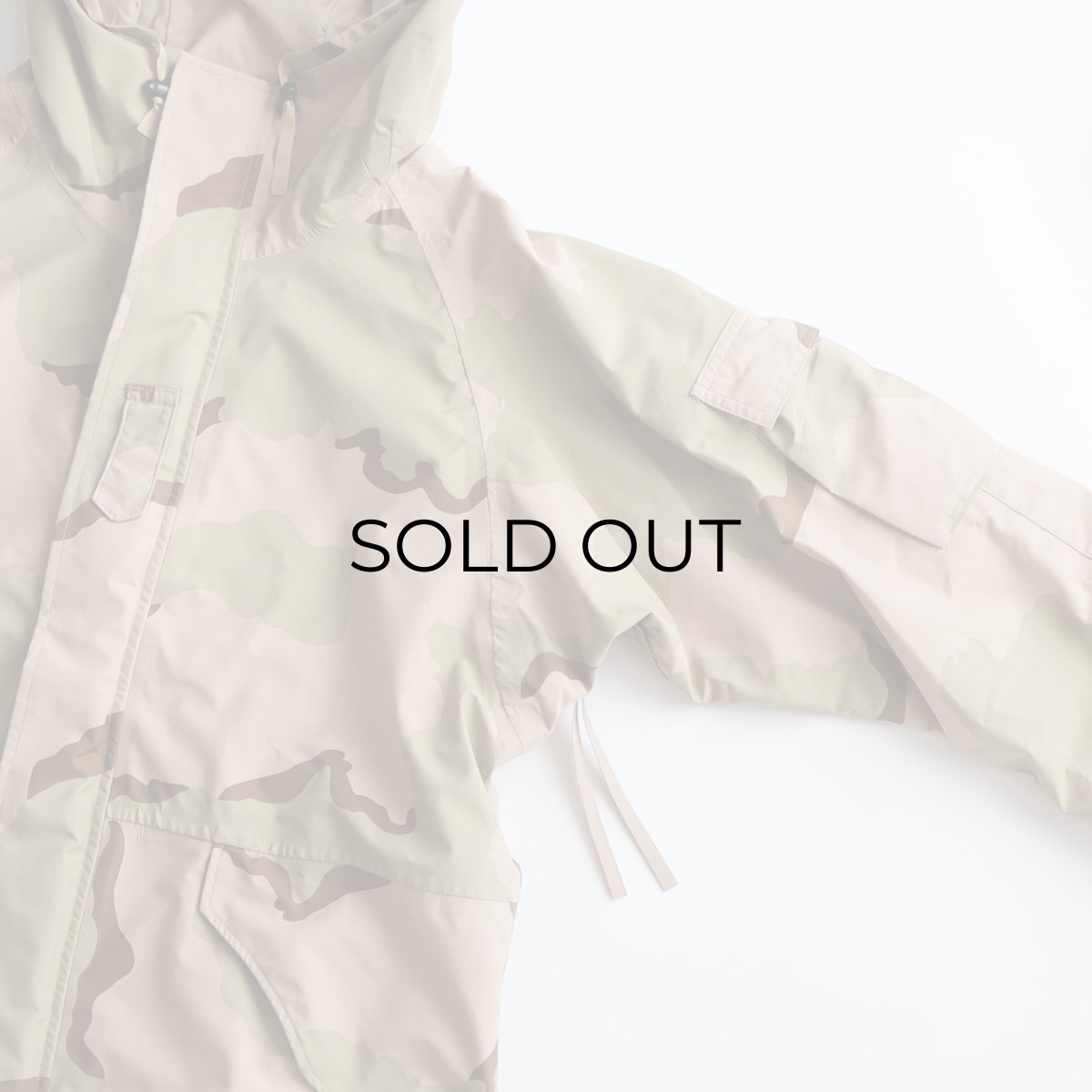 画像4: 00's US ARMY GORE-TEX DESERT CAMOUFLAGE COLD WEATHER PARKA 【SIZE : LARGE-REGULAR】 (4)