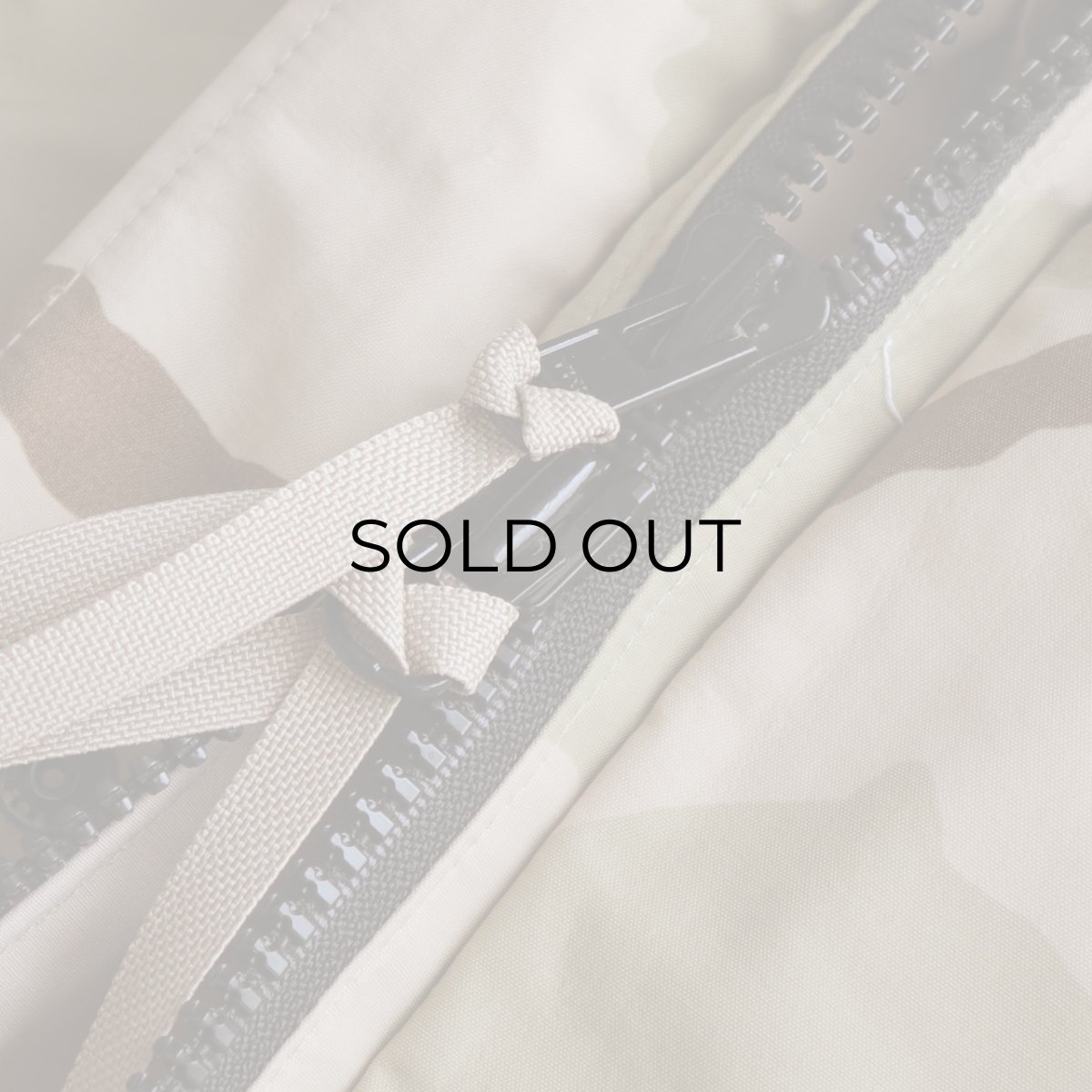 画像12: 00's US ARMY GORE-TEX DESERT CAMOUFLAGE COLD WEATHER PARKA 【SIZE : LARGE-REGULAR】 (12)