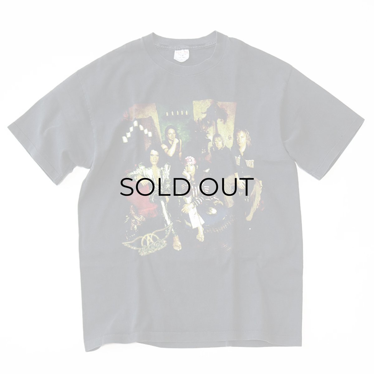 画像2: 90's SOFTEE COTTON W-PRINT S/S BAND TEE "AEROSMITH North American Tour" (2)