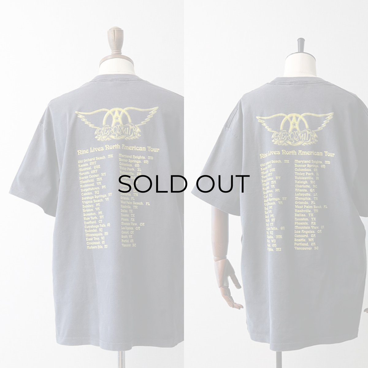 画像10: 90's SOFTEE COTTON W-PRINT S/S BAND TEE "AEROSMITH North American Tour" (10)