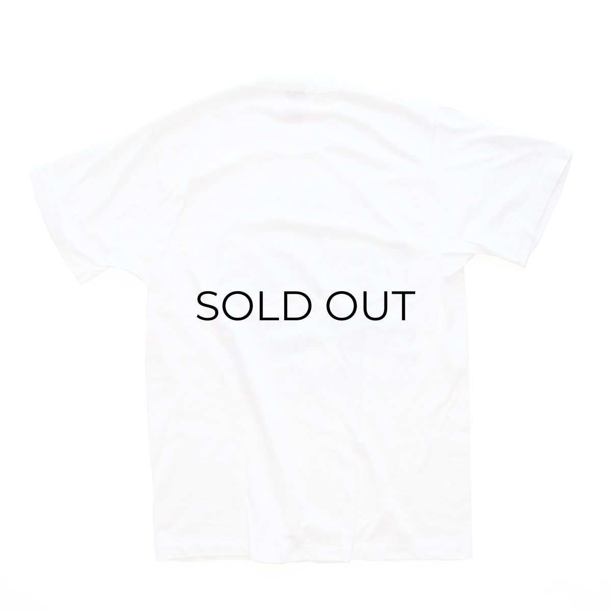 画像2: 〜80's Anvil PRINT S/S TEE "10th ANNUAL STAGECOACH ROADRUN" (2)