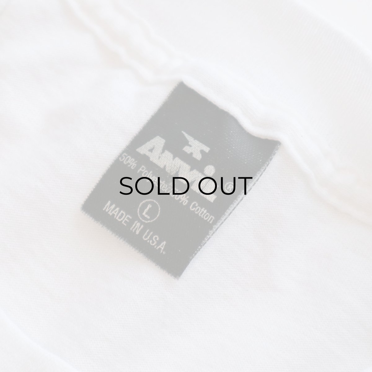 画像4: 〜80's Anvil PRINT S/S TEE "10th ANNUAL STAGECOACH ROADRUN" (4)