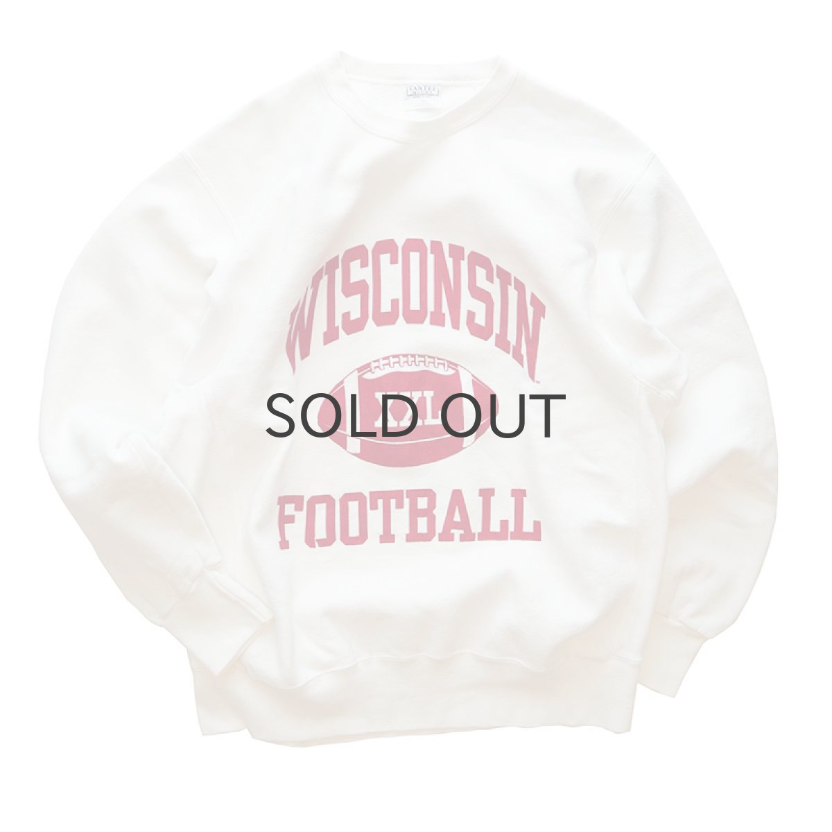 画像1: 90's SANTEE REVERSE WEAVE style PRINT CREW NECK SWEAT "WISCONSIN FOOTBALL" (1)