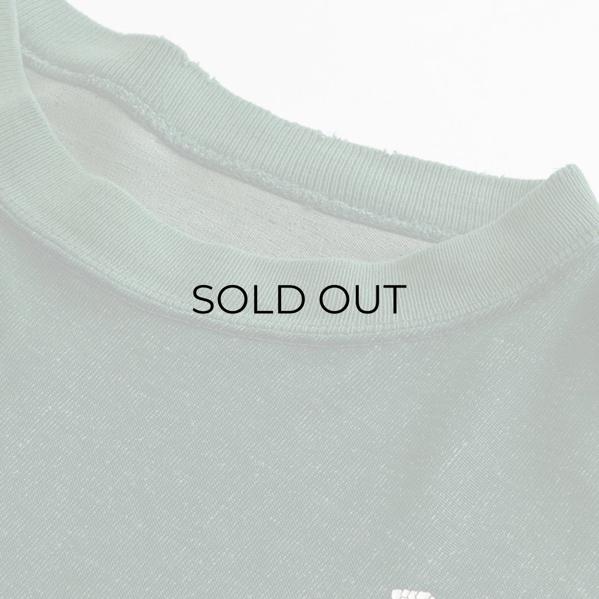 画像9: 70's Champion RAYON W-PRINT L/S TEE "P.S.U. INTRAMURAL" (9)