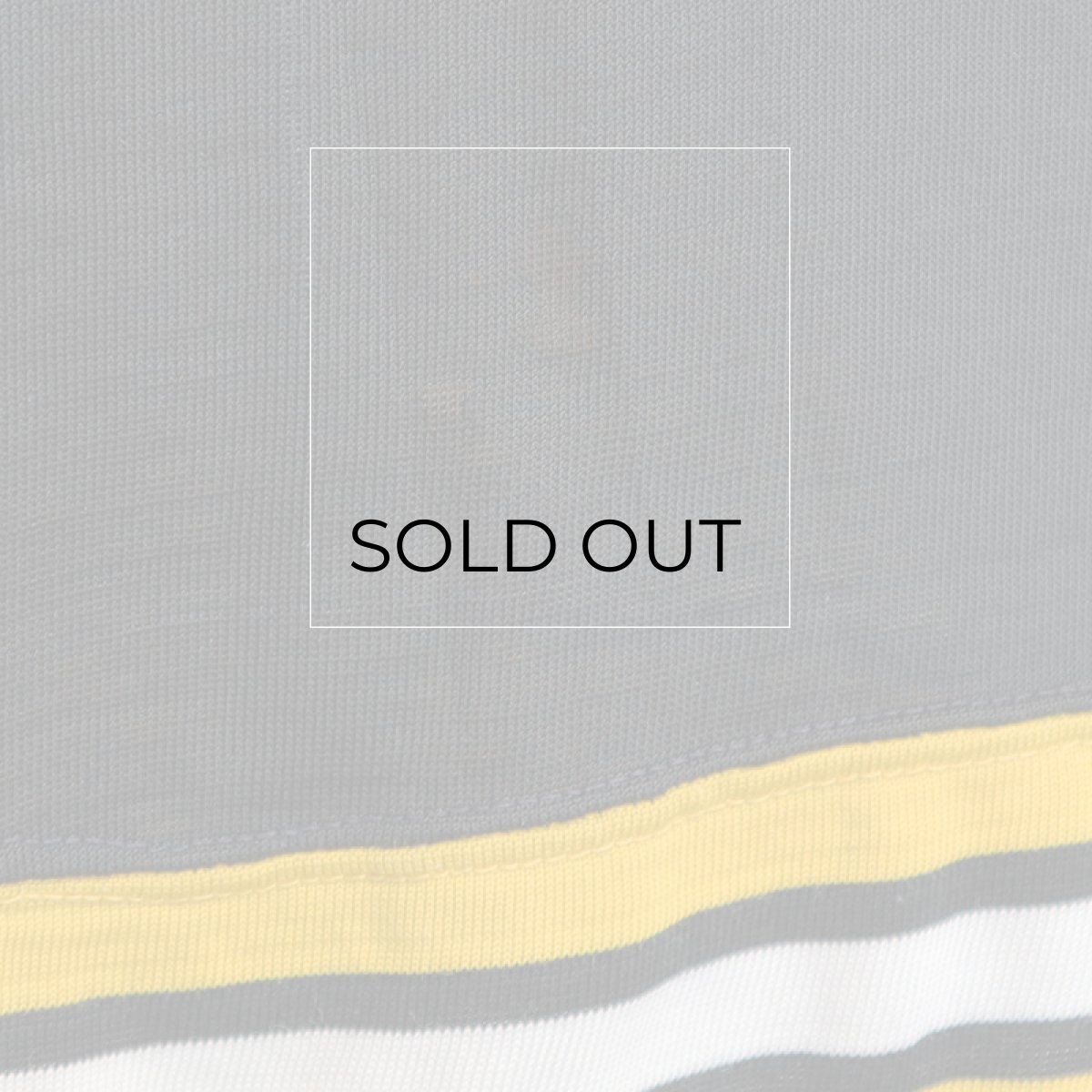 腹部に薄くなっている部分あり