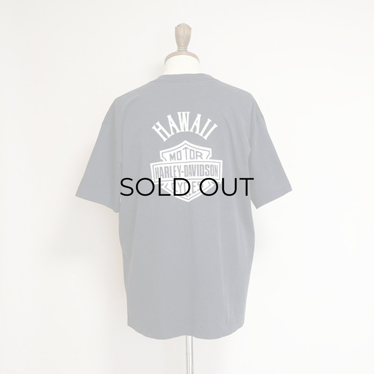 画像10: 90's HARLEY-DAVIDSON W-PRINT S/S TEE "Hard Ride" (10)