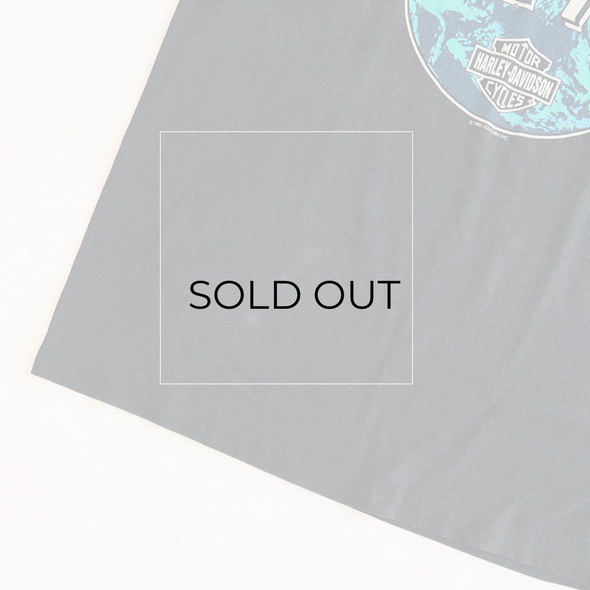 腹部下に少し色あせ