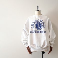 画像1: 80's Velva Sheen PRINT CREW NECK SWEAT "CHAMINADE" (1)