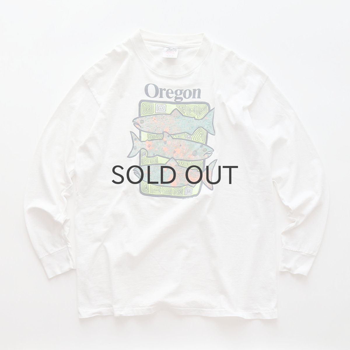 画像1: 〜90's ONEITA COTTON PRINT L/S TEE "Oregon" (1)