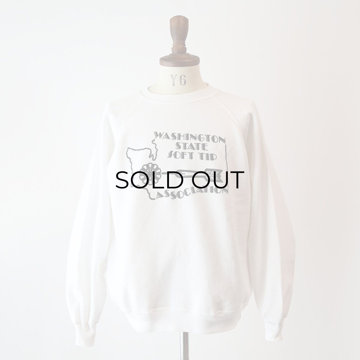 画像10: 〜90's Hanes PRINT CREW NECK SWEAT "WASHINGTON STATE SOFT TIP" "MADE IN USA" (10)