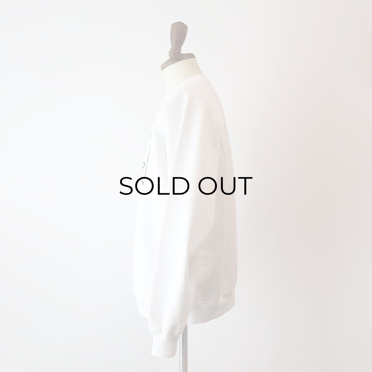 画像11: 〜90's Hanes PRINT CREW NECK SWEAT "WASHINGTON STATE SOFT TIP" "MADE IN USA" (11)