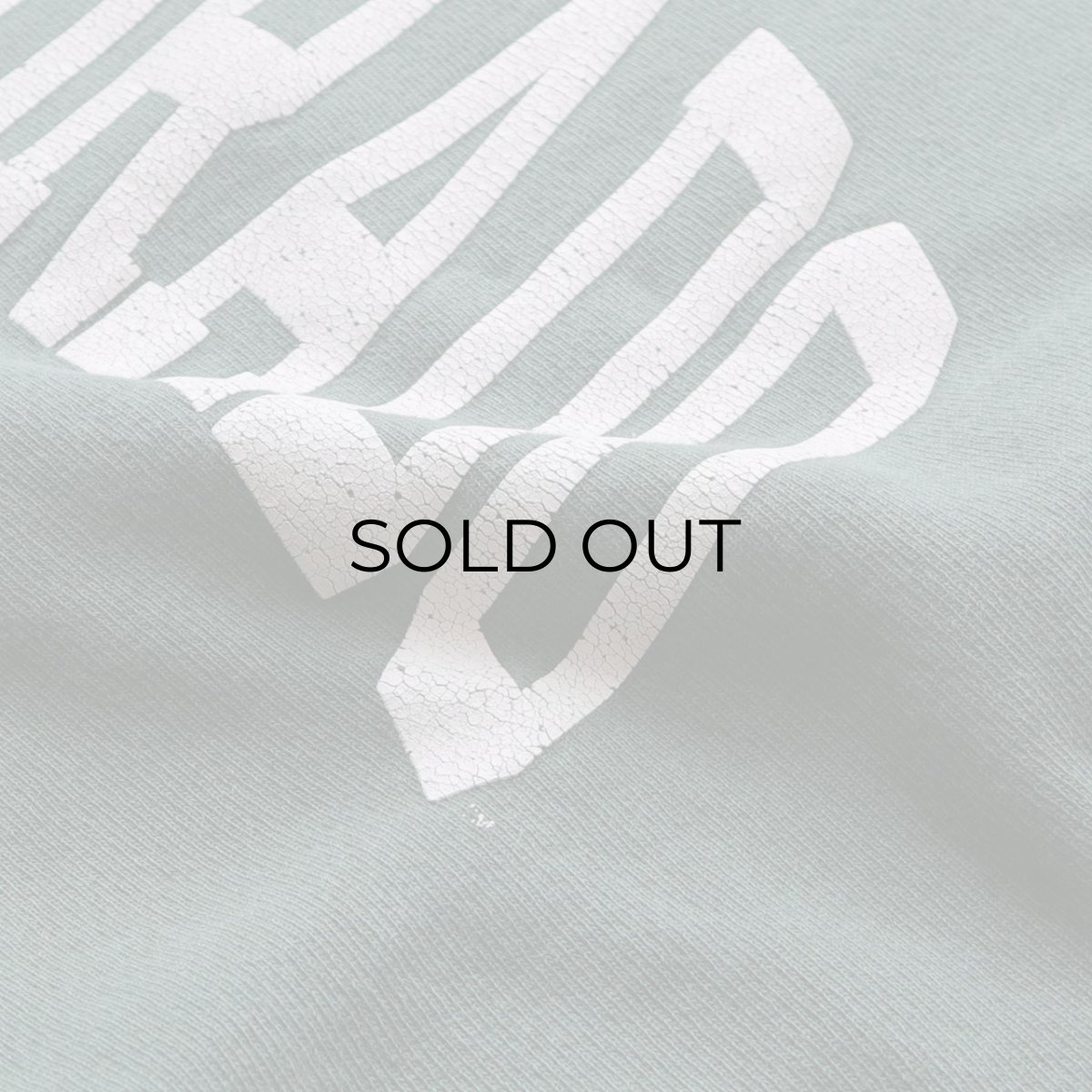 画像8: 90's Champion "REVERSE WEAVE" PRINT CREW NECK SWEAT "COLORADO" "MADE IN USA" (8)