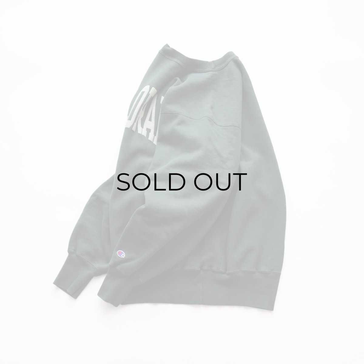 画像2: 90's Champion "REVERSE WEAVE" PRINT CREW NECK SWEAT "COLORADO" "MADE IN USA" (2)