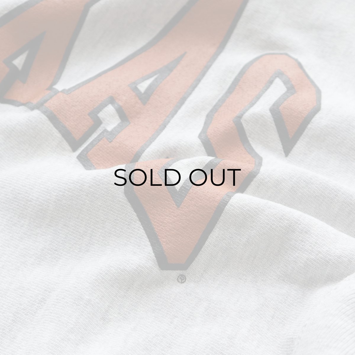 画像7: 90's Champion "REVERSE WEAVE" PRINT CREW NECK SWEAT "TEXAS" "MADE IN USA" (7)