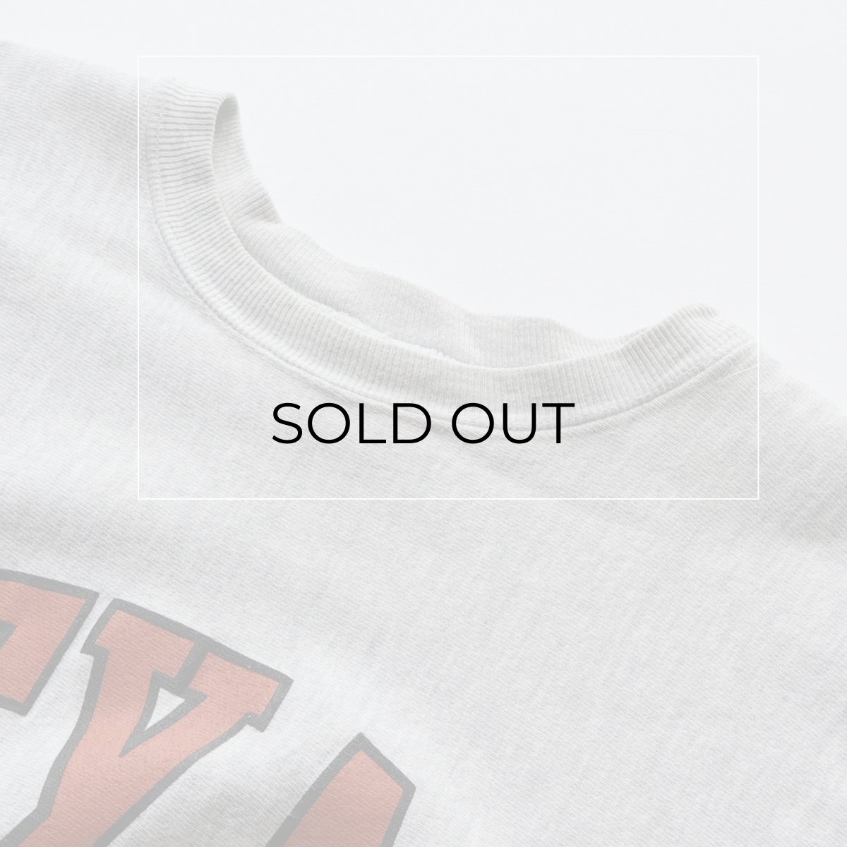 画像9: 90's Champion "REVERSE WEAVE" PRINT CREW NECK SWEAT "TEXAS" "MADE IN USA" (9)