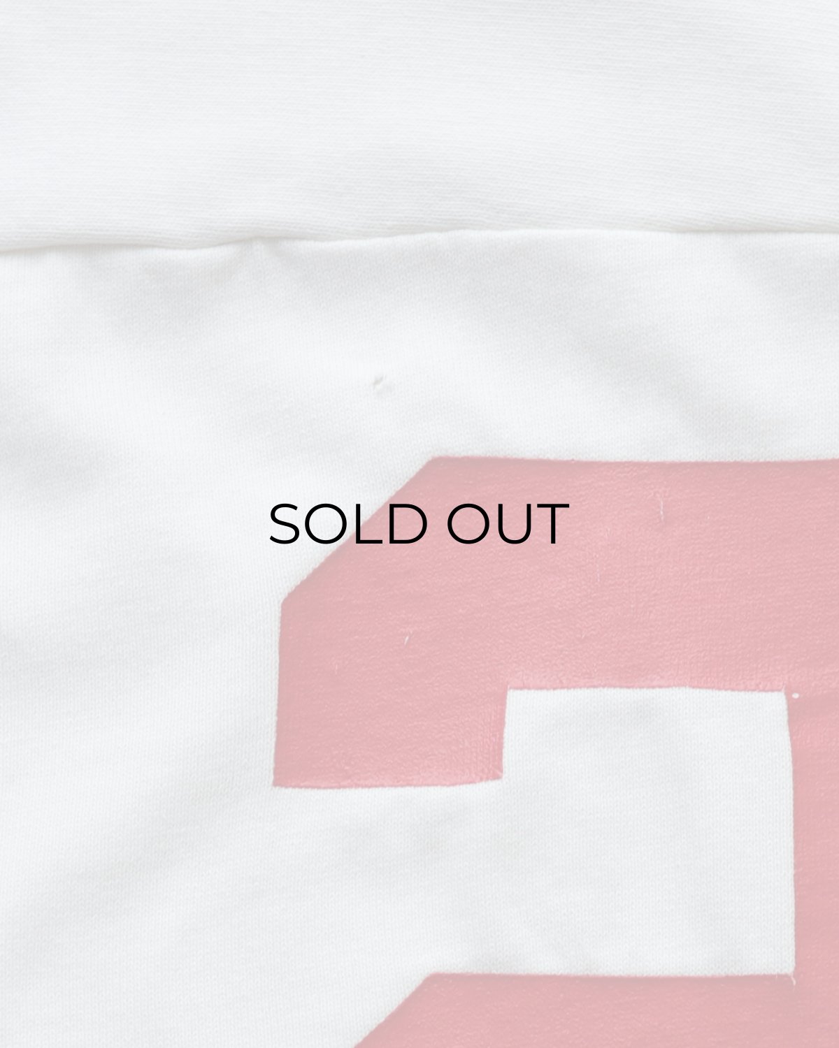 画像17: 80's RUSSELL W-PRINT CROPPED SLEEVE V NECK FOOTBALL TEE "GUNNISON" (17)