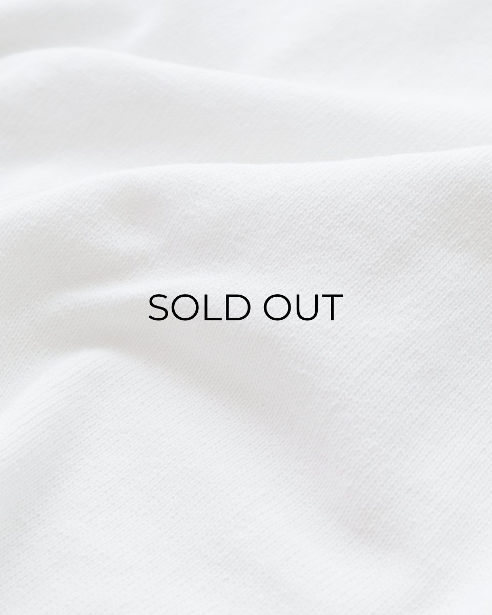 画像8: 80's RUSSELL W-PRINT CROPPED SLEEVE V NECK FOOTBALL TEE "GUNNISON" (8)