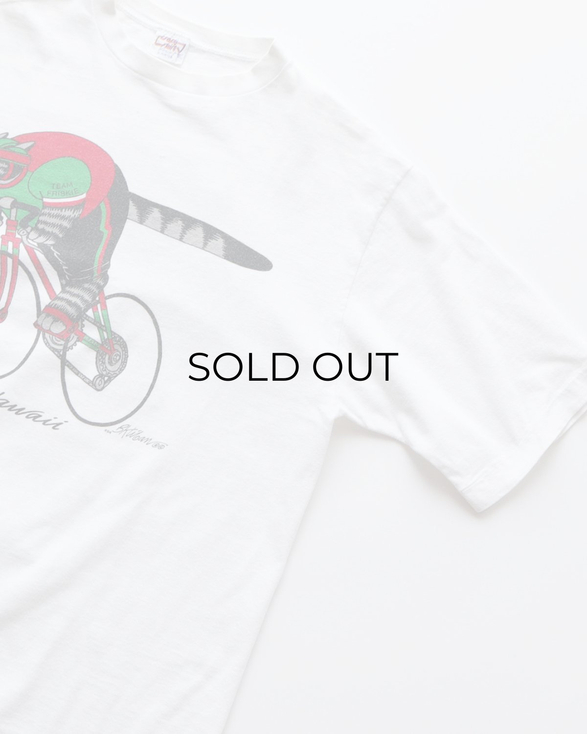 画像4: 90's crazy shirts COTTON "Kliban Cat" W-PRINT S/S TEE "TEAM FRISKIE" "MADE IN USA" (4)