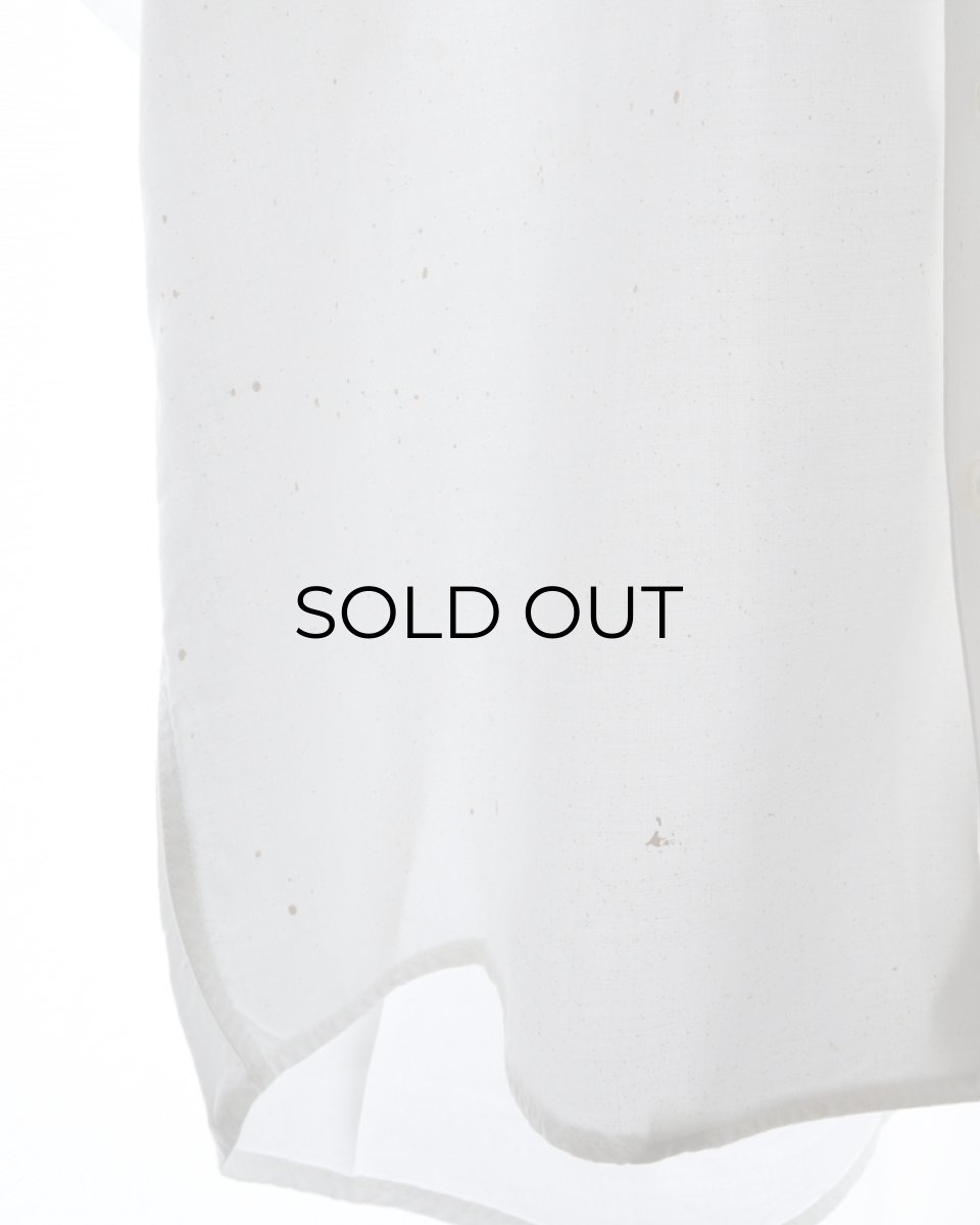 光に透かした感じ