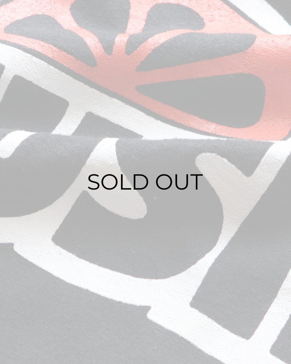 画像7: 80's RUSSELL PRINT CROPPED SLEEVE V NECK FOOTBALL TEE "Crush" (7)